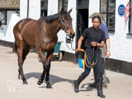 NH220326-16 - Thewoodcorner